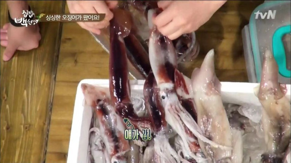 3556424094_SoCexUIi_4fa5c3eaf507b566496a8347628a0601f16357ea