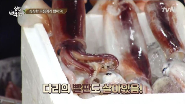 3556424094_xelQnaJ5_2ed4532440b0dd8882d744ebd0c33e5b0d2ca01f